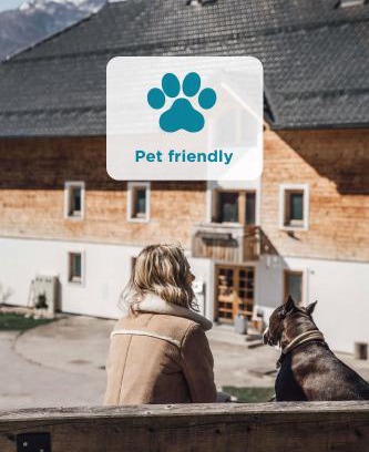 Studor Apartamento | Apartmaji Triglav