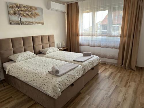 Zajecar Apartamento | Apartman Ćirić