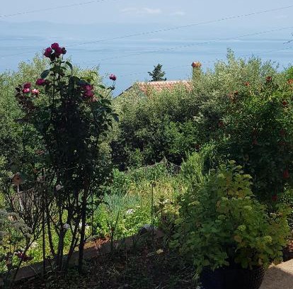 Mosenice Apartamento | APARTMAN ANA