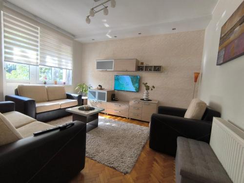 Cacak Apartamento | Apartman Braun Čačak