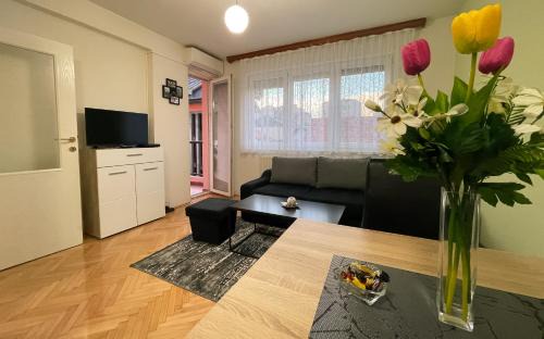 Bijeljina Apartamento | Apartman Central