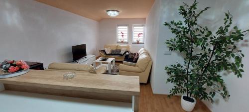 Gradacac Apartamento | Apartman Citadel