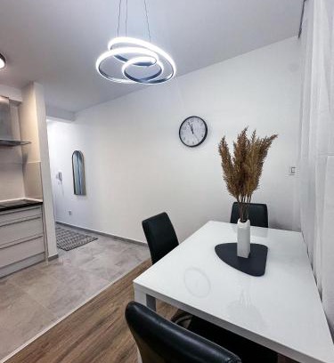 Banja Koviljaca Apartamento | Apartman Jelena II