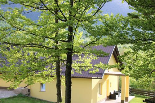 Krasno Polje Apartamento | Apartman Juka