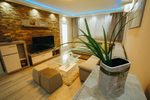 Cacak Apartamento | Apartman Lazaro Cacak