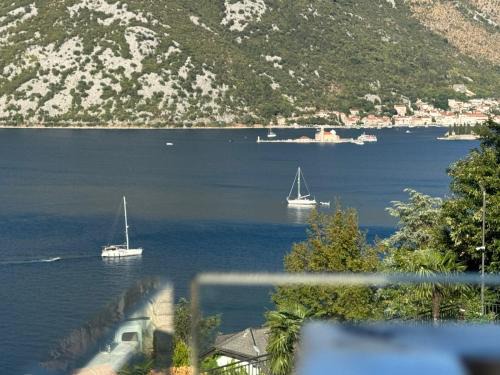 Donja Kostanjica Apartamento | Apartman Mara Kostanjica