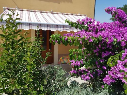Nerezine Apartamento | Apartman Mi