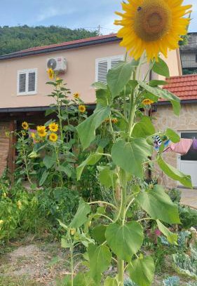 Slivno Apartamento | Apartman Mustapić