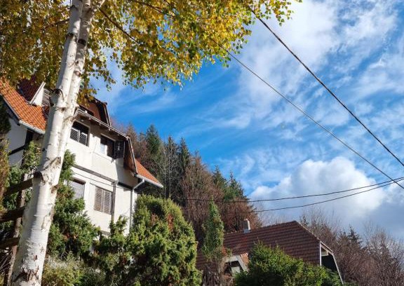 Kopaonik Apartamento | APARTMAN NA STAZI - Bela Reka, Kopaonik