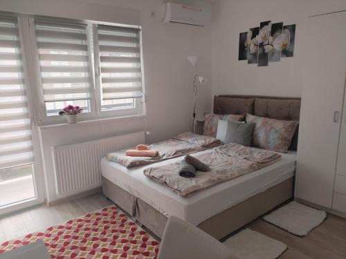 Banja Koviljaca Apartamento | Apartman Nana