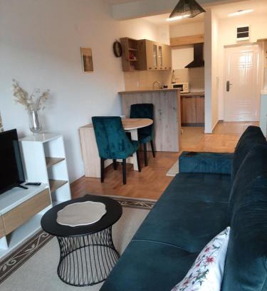 Pirot Apartamento | Apartman Panic