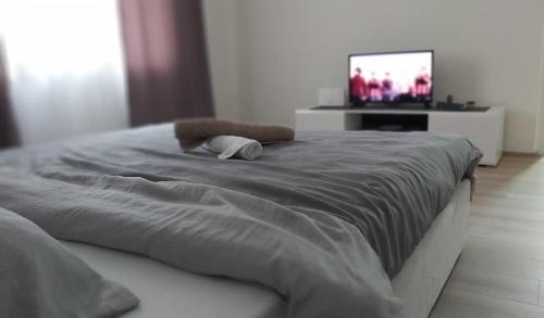 Leskovac Apartamento | Apartman Pavlovic