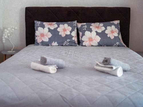 Vranje Apartamento | Apartman Ristić