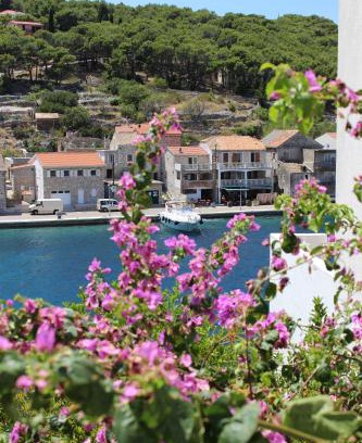 Zirje Apartamento | Apartman Riva