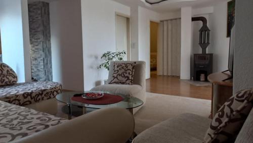 Vranje Apartamento | Apartman Saša