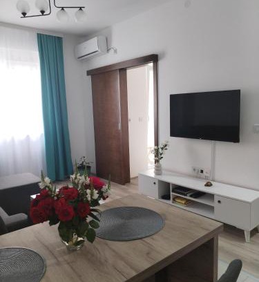 Jagodina Apartamento | Apartman Simijonovic