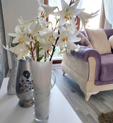 Bihac Apartamento | Apartman STARI GRAD