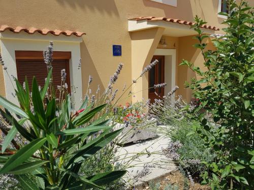 Nerezine Apartamento | Apartman Studio Lu