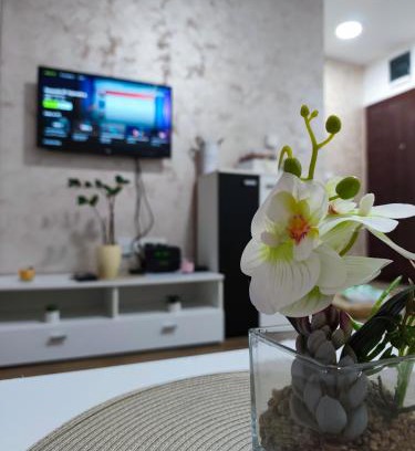 Sremska Mitrovica Apartamento | Apartman Tara 2