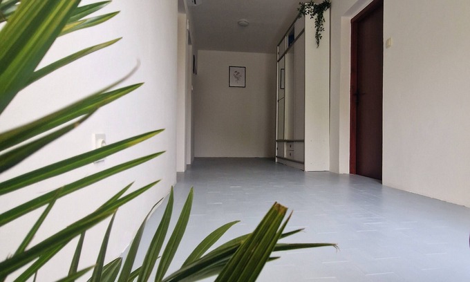Vidovac Cesaricki Apartamento | Apartman The View