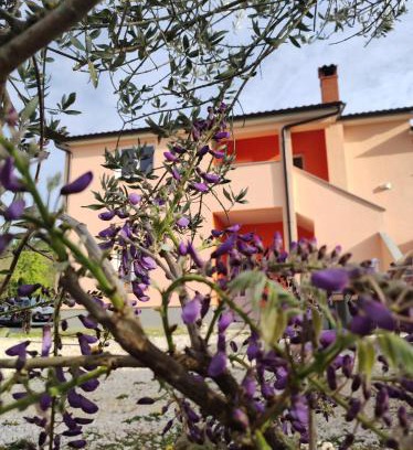 Brkac Apartamento | Apartman Tramonto