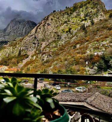 Skaljari Apartamento | Apartman Venera Kotor