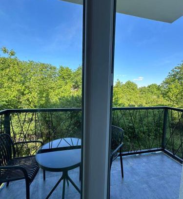 Surcin Apartamento | Apartman Viktor