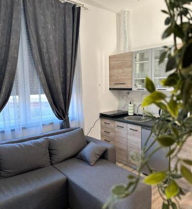 Kraljevo Apartamento | Apartmani M.&.B Luks