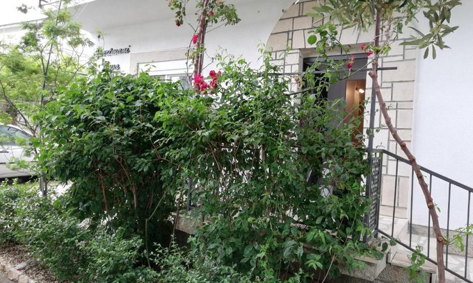 Zivogosce Apartamento | APARTMANI NOVA