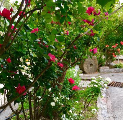 Susanj Apartamento | Apartmani Perić