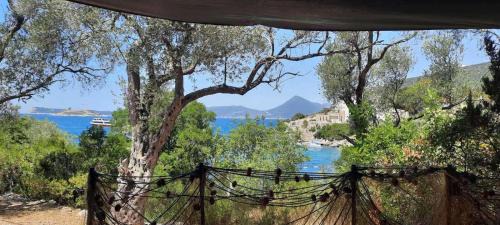 Lustica Apartamento | Apartmani Roganovic