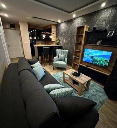 Banja Koviljaca Apartamento | Apartmani Tesic