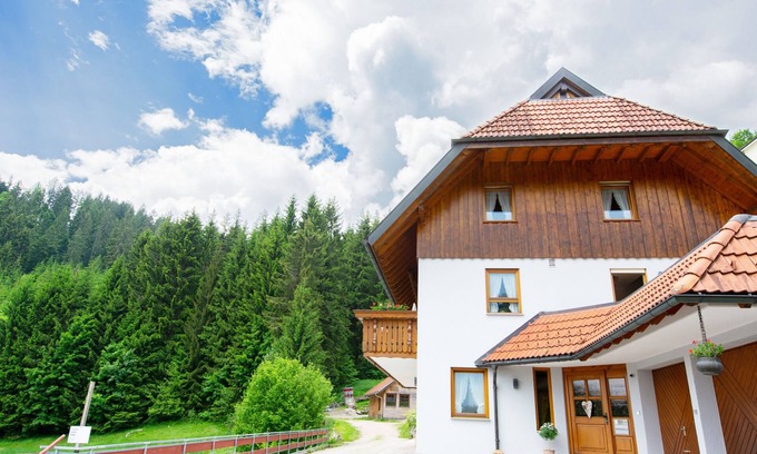 Schonach im Schwarzwald Apartamento | Apartamento 'Ferienwohnung Birgit' con vistas a la montaña, terraza privada y Wi-Fi