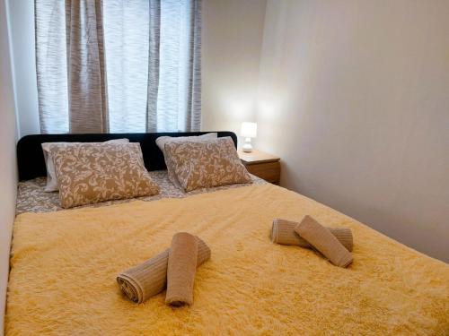 Hradec Kralove Apartamento | Apartment ČSA #7 in the Historic Center Hradec Králové
