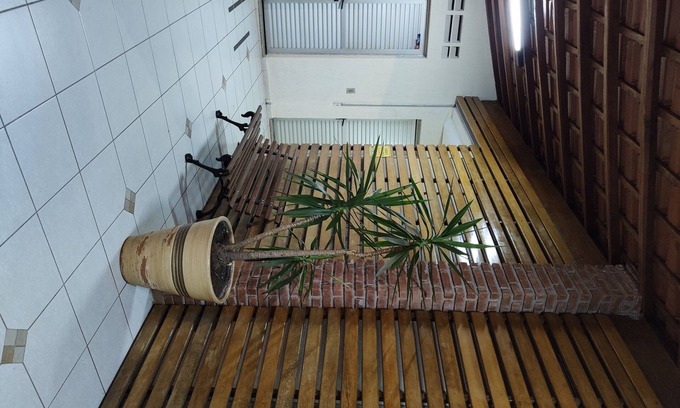 Zona Leste Apartamento | Apartamento 3 habitaciones Santo André