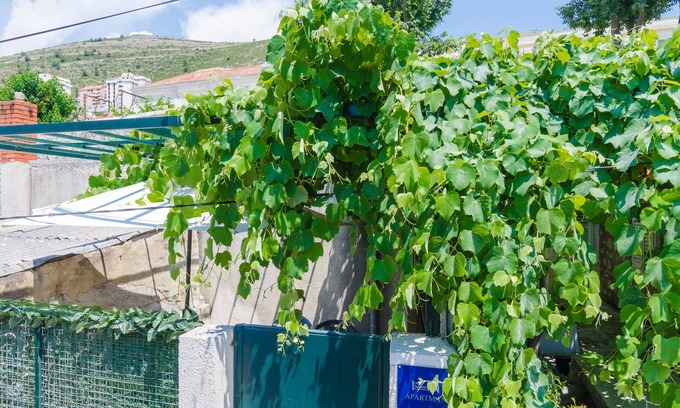 Gruz Apartamento | Apartment Adea