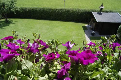 Strobl Apartamento | Apartment am Wolfgangsee