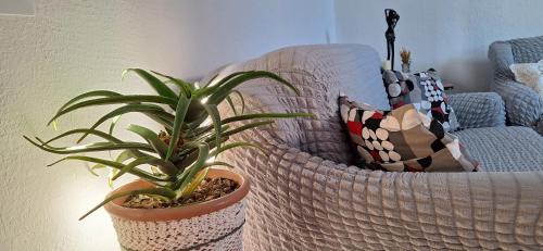 Utjeha Apartamento | Apartment Belis Utjeha