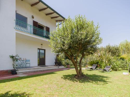 Capanne-Prato-Cinquale Apartamento | Apartment Celeste by Interhome