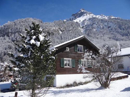Engelberg Apartamento | Apartment Chalet Fluegärtli by Interhome