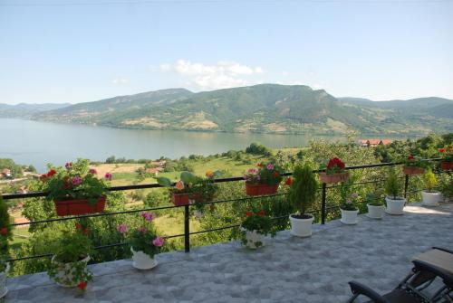 Donji Milanovac Casa | Apartment Danubius
