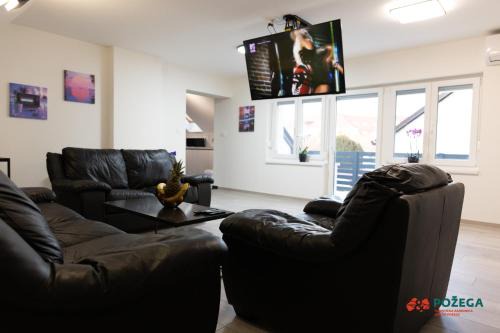 Pozega Apartamento | Apartment Eden