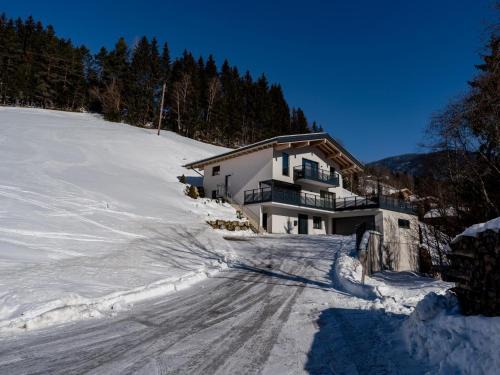 Viehhofen Apartamento | Apartment Eder 302