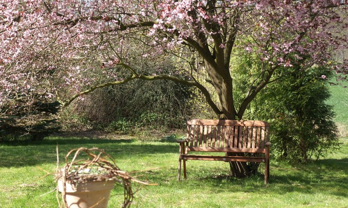 Putbus Apartamento | Apartment for max. 5 people in nature and yet central garden and pool