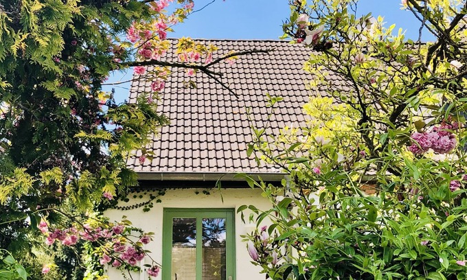 Brusewitz Apartamento | FeWo 'Miss Tulip Boom' moderna, ecológica, tranquila pero cerca de la ciudad