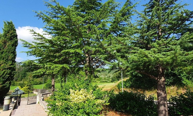 Novaki Pazinski Apartamento | Spacious 6-Person Apartment "Gardens" in Quiet Istrian Meadows, 25 Minutes from Poreč
