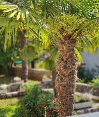 Mihotici Apartamento | Apartment Garden & Sea