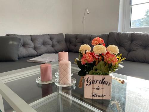 Trinwillershagen Apartamento | Apartment Haus Stefanie by Interhome