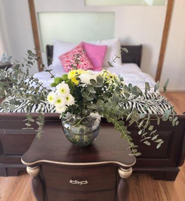 Schiedam Apartamento | Apartment in city centre