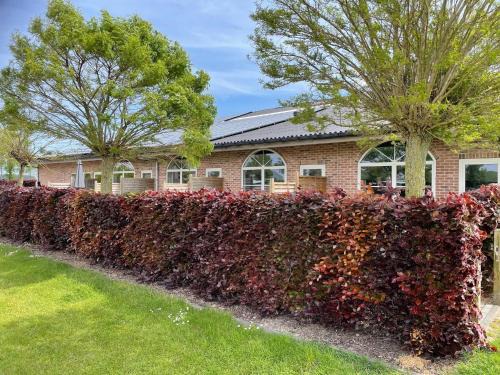 Groede Apartamento | Apartment in Groede near the Beach